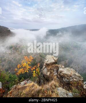 Germany, Saxony-Anhalt, Thale, Harz, view from the Roßtrappe in autumn, morning mist in the Bodetal Stock Photo