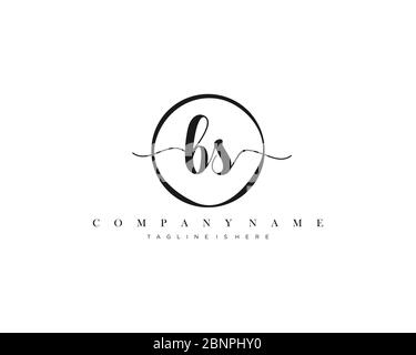 BS Signature style monogram.Calligraphic lettering icon vector Stock Vector