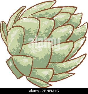 Fresh green artichoke stem isolated icon. Spring Rareripes. hastings, farm market, Vector illustration. hand-drawn Stock Vector