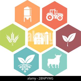 Icon of various symbols of agriculture Stock Photo - Alamy
