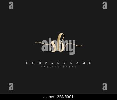 SB Initial handwriting logo vector. Stock Vector