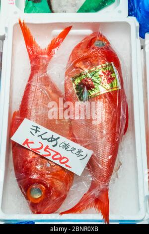 Japan, Honshu, Tokyo, Tsukiji, Tsukiji Outer Market, Seafood Shop Display of Fresh Fish Stock Photo