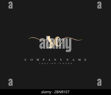 SE Initial handwriting logo vector. Stock Vector