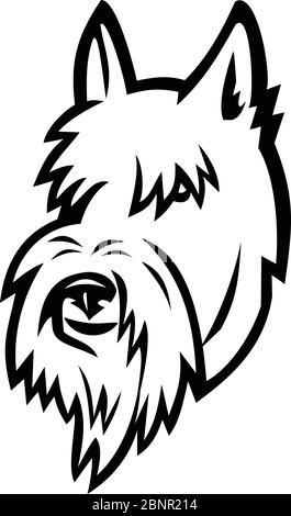 Sports mascot icon illustration of head of a Scottish Terrier, Aberdeen Terrier or Scottie dog viewed from front on isolated background in retro style Stock Vector