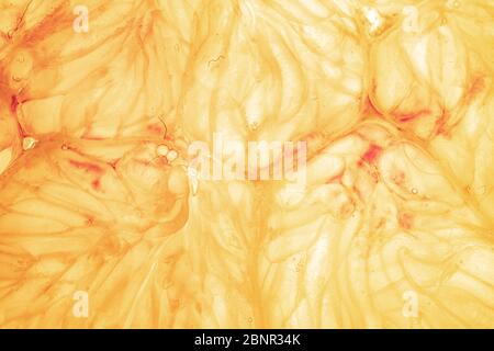 Orange and lemon slice isolated on background Stock Photo