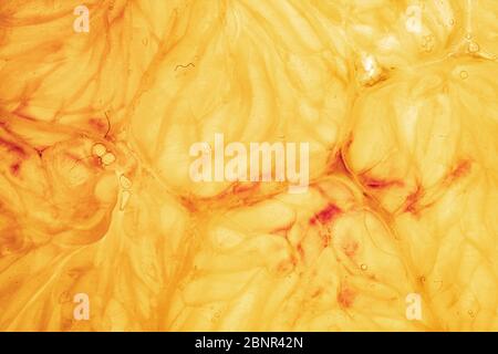 Orange and lemon slice isolated on background Stock Photo