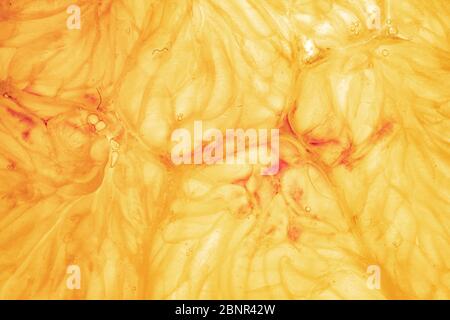 Orange and lemon slice isolated on background Stock Photo