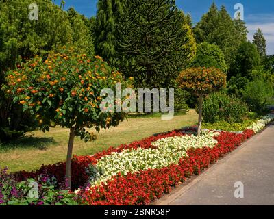 Europe, Germany, Hesse, Marburg, Botanical Garden of the Philipps University, flower borders Stock Photo