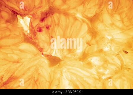 Orange and lemon slice isolated on background Stock Photo