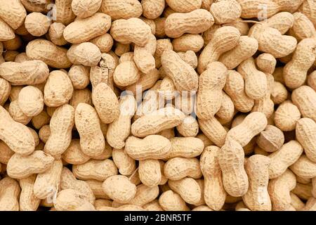peanuts in the shell background or texture. Stock Photo
