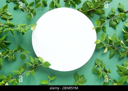 Creative layout made of green leaves, spring twigs on trendy green or mint background. Green leaves frame, flat lay, white round copy space. Summer or Stock Photo