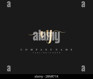 VY Initial handwriting logo vector. Stock Vector
