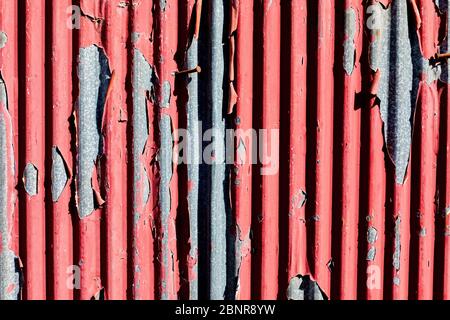 Old weathered corrugated sheet with peeled paint. Roofing material with close up view Stock Photo
