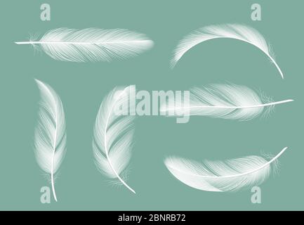 Feathers collection. Flying furry of goose vector realistic pictures isolated on transparent background Stock Vector