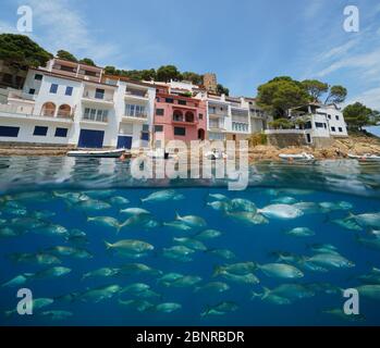 Seascape of Mediterranean sea, many fish underwater and blue sky