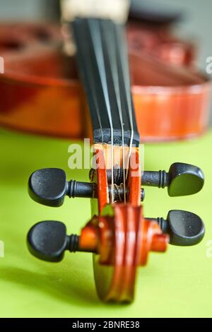 Violin on a green background, close-up. Detail of violin. Stock Photo