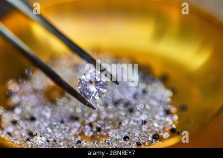 Diamond held by tweezers against the background of diamonds in the plate for the fixer Stock Photo