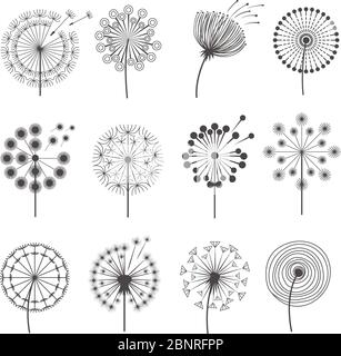 Dandelion icon. Botanical pictures flowers silhouettes herbal black pictures vector illustrations Stock Vector