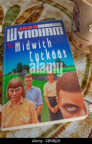 John Wyndham Midwich Cuckoos Paperback Stock Photo