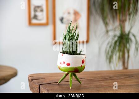 cactus in a handmade ceramic pot on a wooden table in a living-room Stock Photo