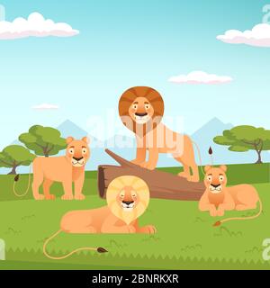 Lion pride landscape. Wild fur animal hunters background vector zoo concept Stock Vector