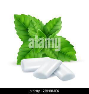 Mint gum. Fresh menthol leaves with white gum sweets for breathing fresh smell vector realistic pictures Stock Vector