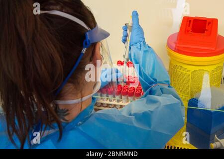 Campobasso,Molise region,Italy:A nurse from the Cardarelli hospital analysis laboratory, dressed in overalls and protective masks, proceeds to kill th Stock Photo