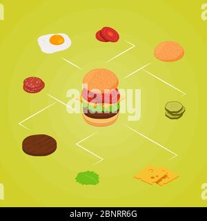 Vector isometric burger ingredients infographic illustration color Stock Vector