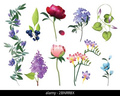 Floral collection. Wedding flowers with leaves vector colored flowers botanical pictures set Stock Vector