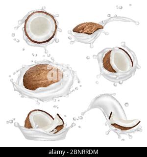 Coconut milk. Tropical fresh plant aromatic nuts and fruits yogurt splashes vector realistic collection Stock Vector