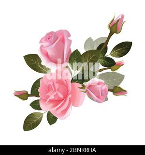 Bouquet roses. Red and white beautiful flowers collection vector background Stock Vector