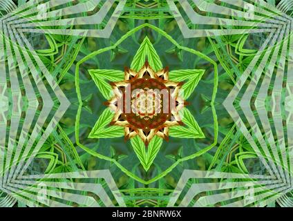 Marijuana Mandala for medicinal purposes only. Stock Photo