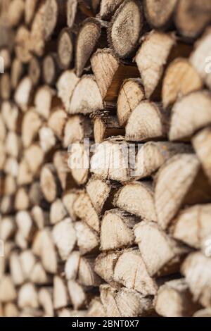 Precisely layered pile of wood from different cut firewood, heating material, sustainable reforestation Stock Photo