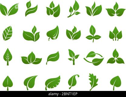 Green leaves logo. Plant nature eco garden stylized icon vector botanical collection Stock Vector