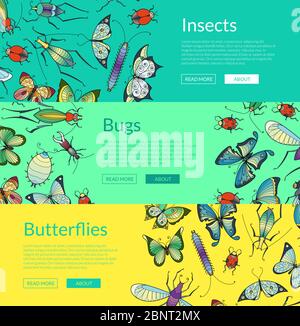 Vector hand drawn insects of set colored Stock Vector