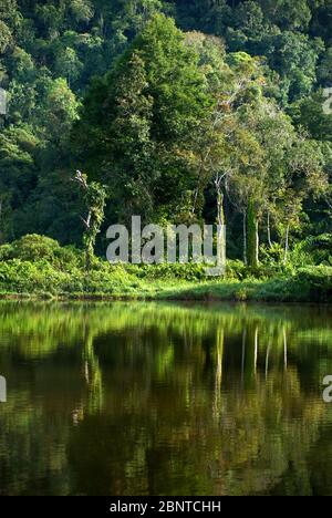 View of Situgunung, a lake surrounded by forest in Mount Gede Pangrango National Park, Indonesia. Archival photo. Stock Photo