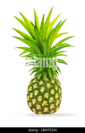 Pineapple isolated on white background Stock Photo