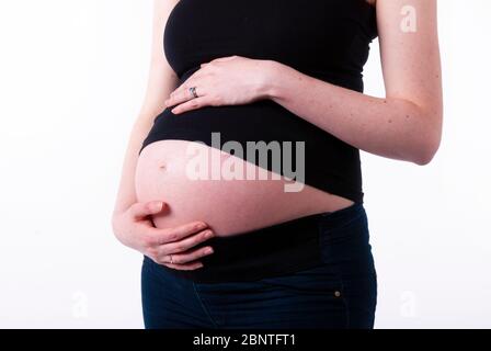 Studio shot of a young pregnant woman dressed in black casual clothing holding her exposed pregnant belly. Stock Photo