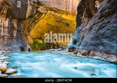 zion narrow  with  vergin river in Zion National park,Utah,usa. Stock Photo