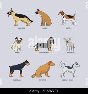 Doodle dog breeds colored flat icons set. Vector illustration Stock Vector