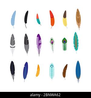 Vector decorative feathers set on white background Stock Vector