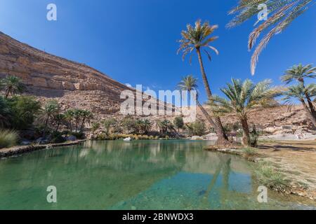 View of emerald pools in Wadi Bani Khalid, Oman Stock Photo