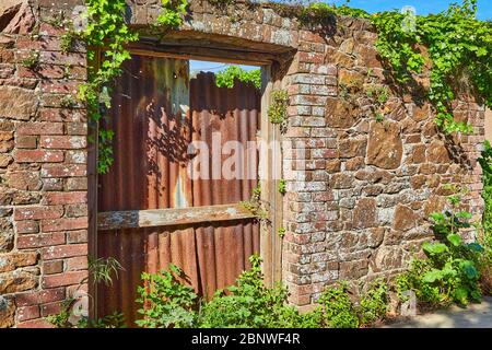Image of a an old stone wall with an old door opening with brick surround which has been blocked up with rusty corigated iron stheets in the sunshine. Stock Photo