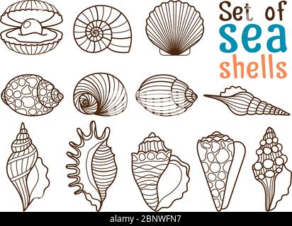 Vector sea shell or marine shells line icons set on white background Stock Vector
