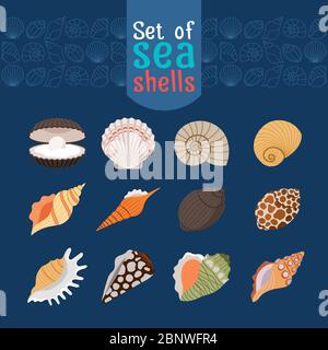 Marine shell or vector seashells icons in flat style for summer design Stock Vector