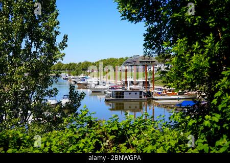 Idyllic view of yachts in Northern Düsseldorf through the blurred branches of trees. Sunny day with blue sky. Stock Photo