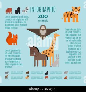 Zoo animals vector infographic on light blue background Stock Vector