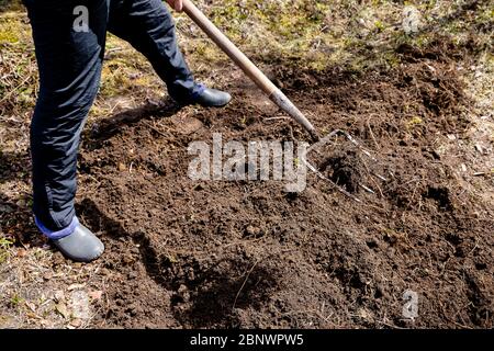 Farmer working in the garden in spring. Organic fertilization of the grass field, preparing garden for digging and planting.Agriculture, farming Stock Photo
