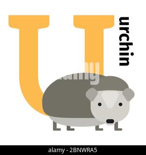 English animals zoo alphabet with letter U. Urchin vector illustration Stock Vector