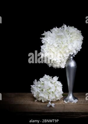 Viburnum opulus aka Snowball Tree, Guelder rose. With vase. Life, death symbolism, metaphor. Light painted on black background. With copyspace. Stock Photo